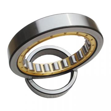 313893 Four Row Cylindrical Roller Bearing Brass Cage / Steel Cage 