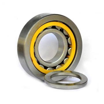 NJ205EM Inner Ring Flanged Cylindrical Roller Bearing 25*52*15mm