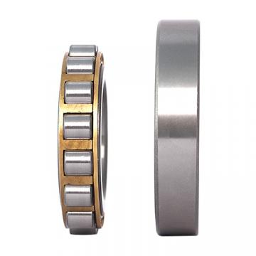 1.575 Inch | 40 Millimeter x 2.441 Inch | 62 Millimeter x 0.472 Inch | 12 Millimeter  NNCF1836100 Backing Bearing For Cold Rolling Mill And Cluster Mill