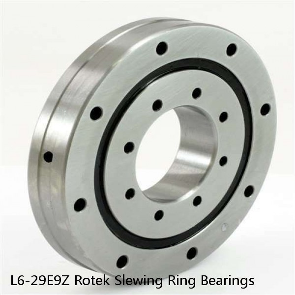 L6-29E9Z Rotek Slewing Ring Bearings