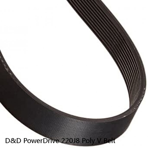 D&D PowerDrive 220J8 Poly V Belt