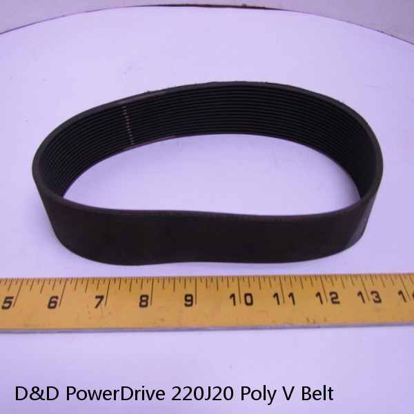 D&D PowerDrive 220J20 Poly V Belt