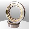 17 mm x 47 mm x 14 mm  RSTO12 Track Roller Bearing