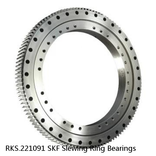 RKS.221091 SKF Slewing Ring Bearings #1 small image