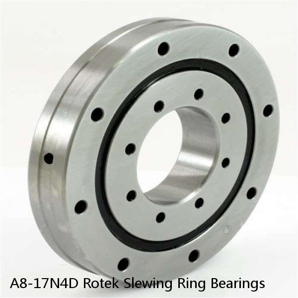 A8-17N4D Rotek Slewing Ring Bearings #1 small image