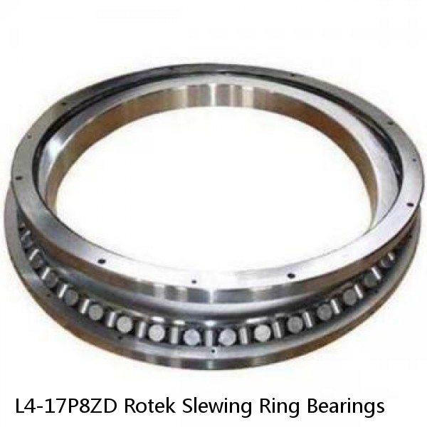 L4-17P8ZD Rotek Slewing Ring Bearings #1 small image
