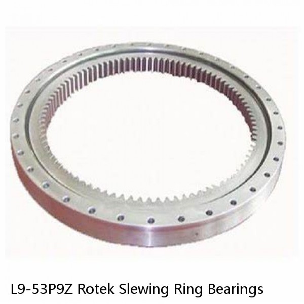 L9-53P9Z Rotek Slewing Ring Bearings #1 small image