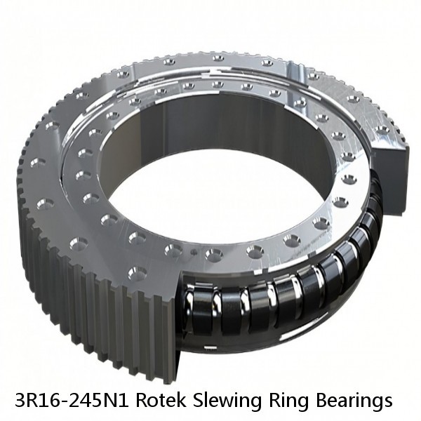 3R16-245N1 Rotek Slewing Ring Bearings #1 small image