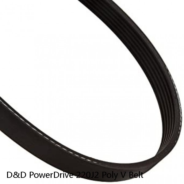 D&D PowerDrive 220J2 Poly V Belt #1 small image