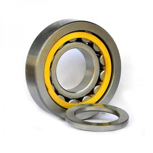 15232 Spiral Roller Bearing / Flexible Roller Bearing 160x290x124mm #1 image