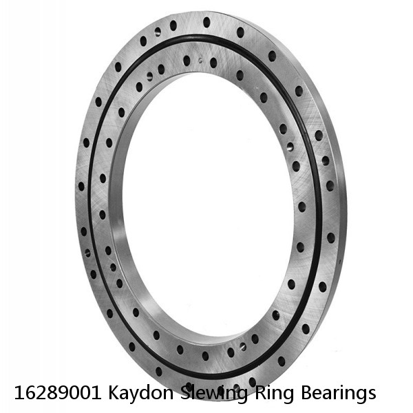 16289001 Kaydon Slewing Ring Bearings #1 image