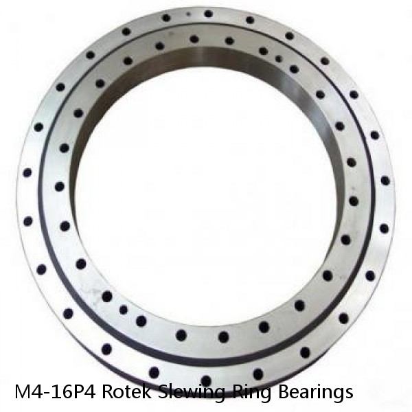 M4-16P4 Rotek Slewing Ring Bearings #1 image