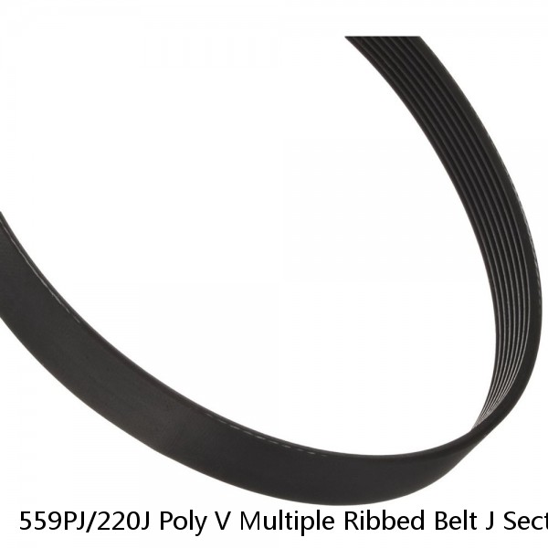 559PJ/220J Poly V Multiple Ribbed Belt J Section 2.34mm - 559mm /22" Long #1 image