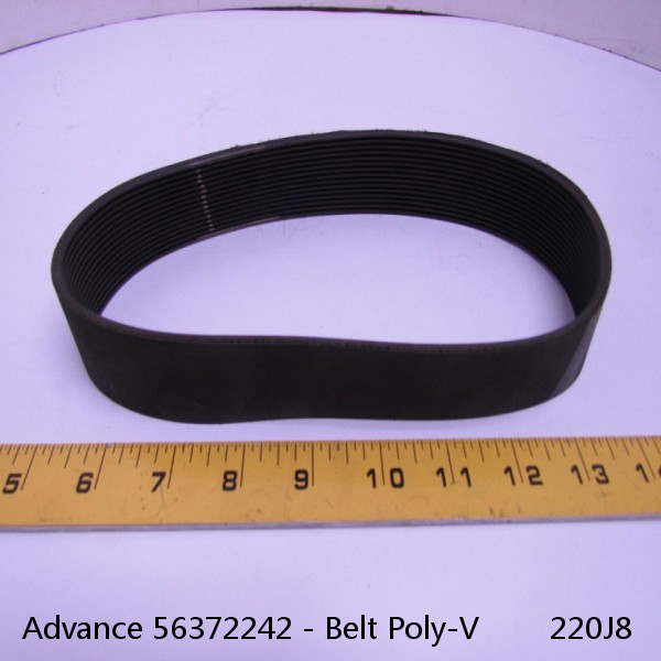 Advance 56372242 - Belt Poly-V        220J8 #1 image