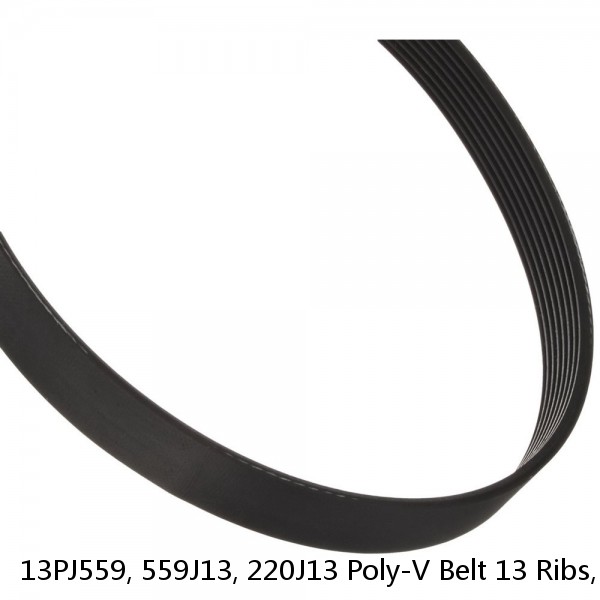 13PJ559, 559J13, 220J13 Poly-V Belt 13 Ribs, 559mm, 22" Long #1 image