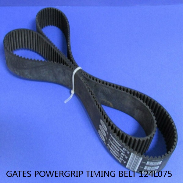 GATES POWERGRIP TIMING BELT 124L075 #1 image