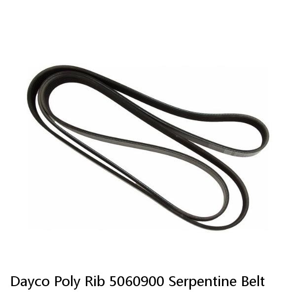 Dayco Poly Rib 5060900 Serpentine Belt #1 image