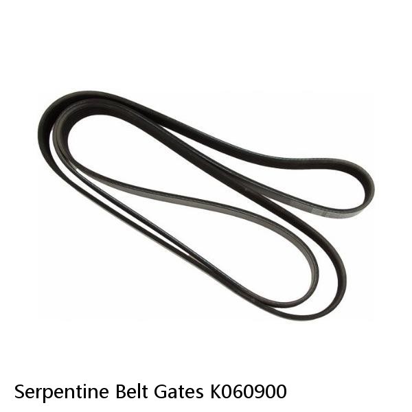 Serpentine Belt Gates K060900 #1 image