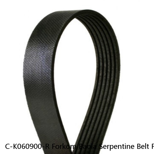 C-K060900-R Forkom Baola Serpentine Belt Free Shipping Free Returns #1 image